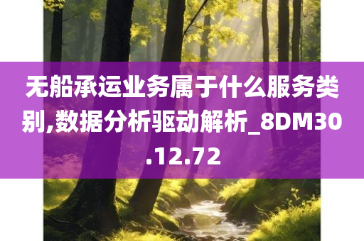 无船承运业务属于什么服务类别,数据分析驱动解析_8DM30.12.72