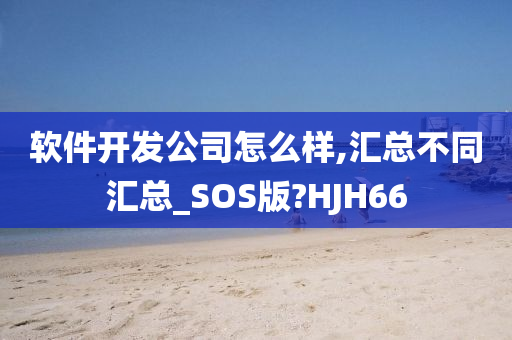 软件开发公司怎么样,汇总不同汇总_SOS版?HJH66