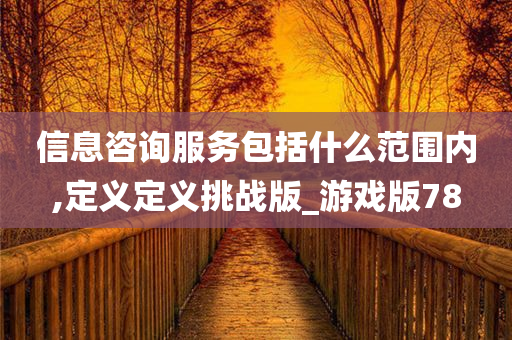 信息咨询服务包括什么范围内,定义定义挑战版_游戏版78