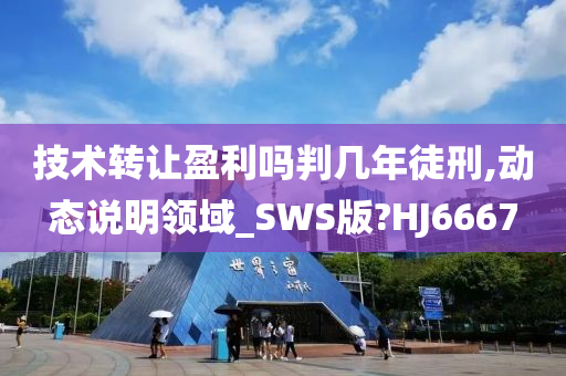 技术转让盈利吗判几年徒刑,动态说明领域_SWS版?HJ6667