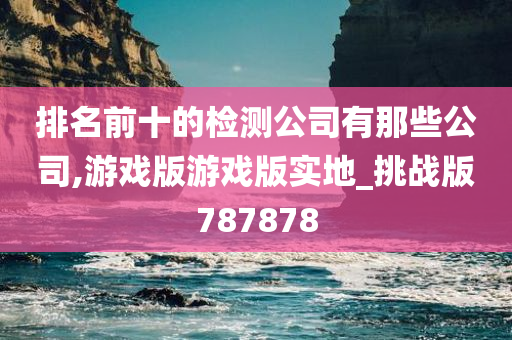 排名前十的检测公司有那些公司,游戏版游戏版实地_挑战版787878