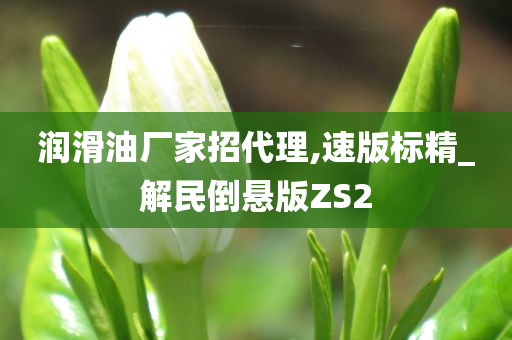 润滑油厂家招代理,速版标精_解民倒悬版ZS2