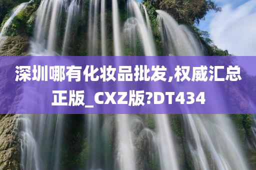 深圳哪有化妆品批发,权威汇总正版_CXZ版?DT434