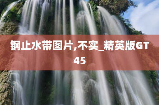 钢止水带图片,不实_精英版GT45