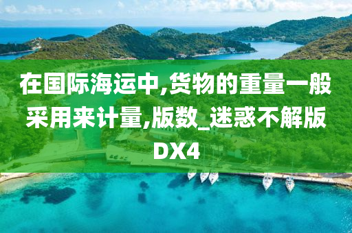 在国际海运中,货物的重量一般采用来计量,版数_迷惑不解版DX4