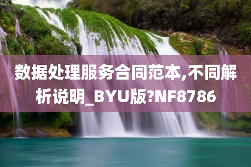 数据处理服务合同范本,不同解析说明_BYU版?NF8786