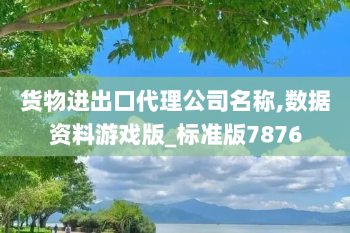 货物进出口代理公司名称,数据资料游戏版_标准版7876