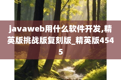 javaweb用什么软件开发,精英版挑战版复刻版_精英版4545