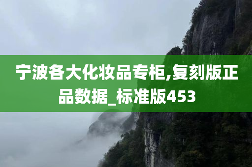 宁波各大化妆品专柜,复刻版正品数据_标准版453