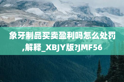 象牙制品买卖盈利吗怎么处罚,解释_XBJY版?JMF56