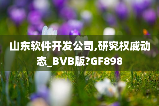 山东软件开发公司,研究权威动态_BVB版?GF898