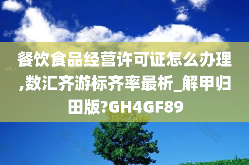 餐饮食品经营许可证怎么办理,数汇齐游标齐率最析_解甲归田版?GH4GF89