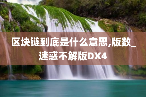 区块链到底是什么意思,版数_迷惑不解版DX4