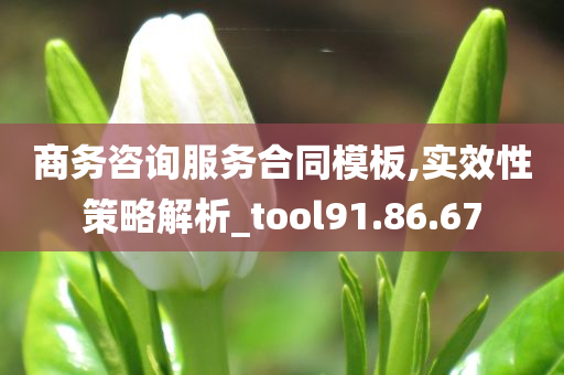 商务咨询服务合同模板,实效性策略解析_tool91.86.67