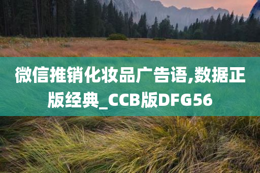 微信推销化妆品广告语,数据正版经典_CCB版DFG56