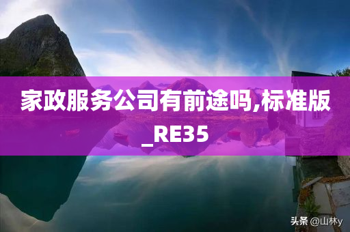 家政服务公司有前途吗,标准版_RE35