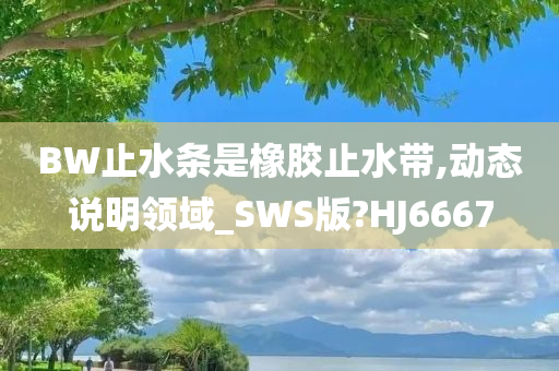 BW止水条是橡胶止水带,动态说明领域_SWS版?HJ6667