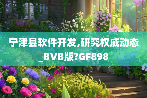 宁津县软件开发,研究权威动态_BVB版?GF898