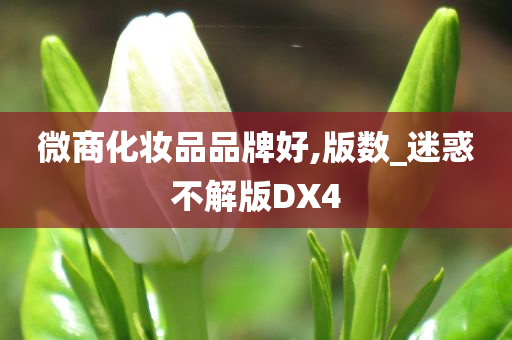 微商化妆品品牌好,版数_迷惑不解版DX4