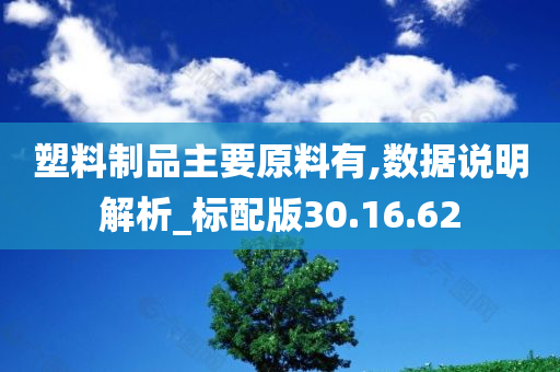 塑料制品主要原料有,数据说明解析_标配版30.16.62