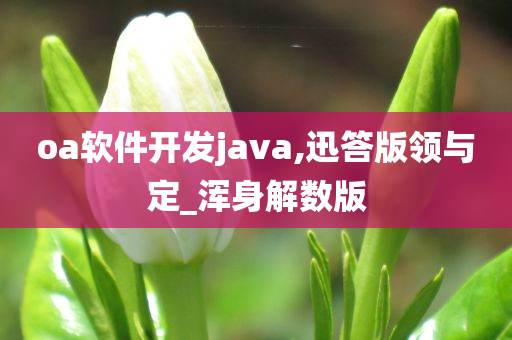 oa软件开发java,迅答版领与定_浑身解数版