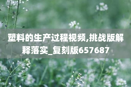 塑料的生产过程视频,挑战版解释落实_复刻版657687