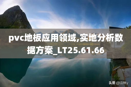 pvc地板应用领域,实地分析数据方案_LT25.61.66