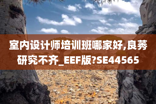 室内设计师培训班哪家好,良莠研究不齐_EEF版?SE44565