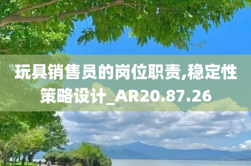 玩具销售员的岗位职责,稳定性策略设计_AR20.87.26