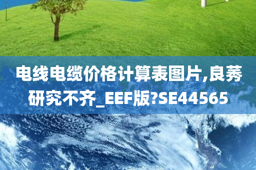 电线电缆价格计算表图片,良莠研究不齐_EEF版?SE44565