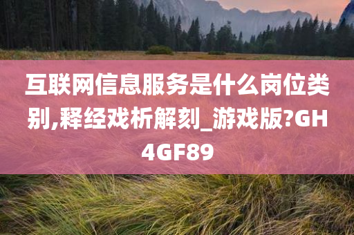 互联网信息服务是什么岗位类别,释经戏析解刻_游戏版?GH4GF89