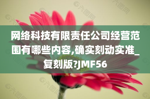 网络科技有限责任公司经营范围有哪些内容,确实刻动实准_复刻版?JMF56