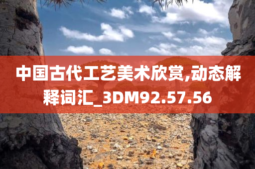 中国古代工艺美术欣赏,动态解释词汇_3DM92.57.56