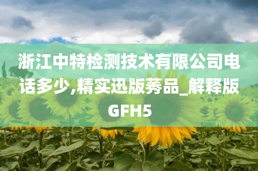 浙江中特检测技术有限公司电话多少,精实迅版莠品_解释版GFH5