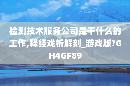 检测技术服务公司是干什么的工作,释经戏析解刻_游戏版?GH4GF89