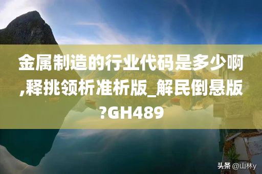 金属制造的行业代码是多少啊,释挑领析准析版_解民倒悬版?GH489