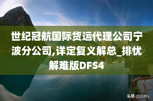 世纪冠航国际货运代理公司宁波分公司,详定复义解总_排忧解难版DFS4