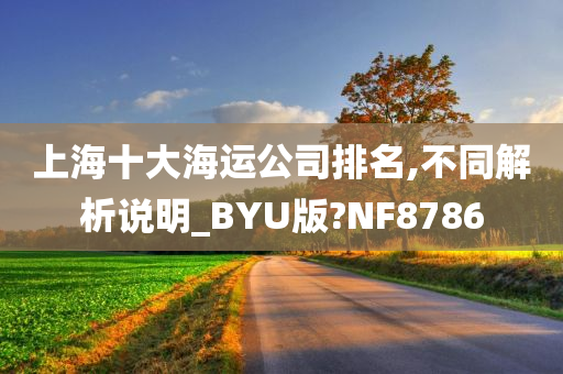 上海十大海运公司排名,不同解析说明_BYU版?NF8786