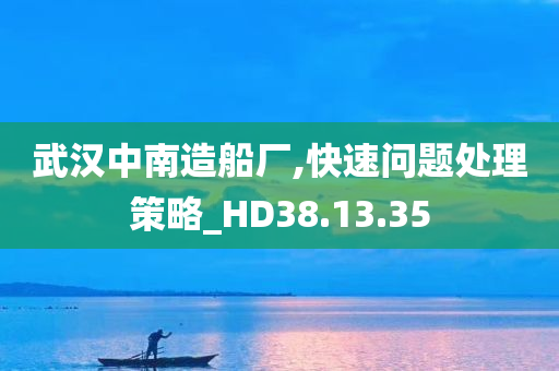 武汉中南造船厂,快速问题处理策略_HD38.13.35