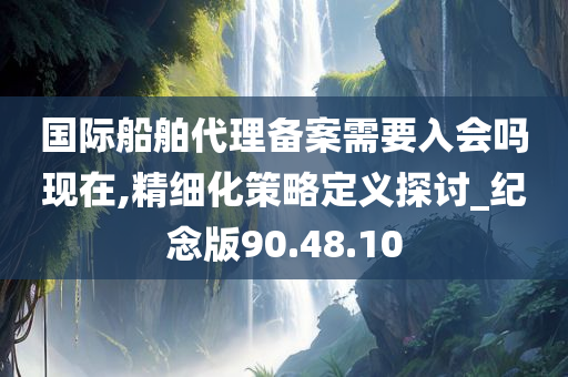 国际船舶代理备案需要入会吗现在,精细化策略定义探讨_纪念版90.48.10