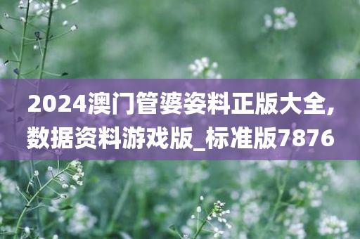 2024澳门管婆姿料正版大全,数据资料游戏版_标准版7876