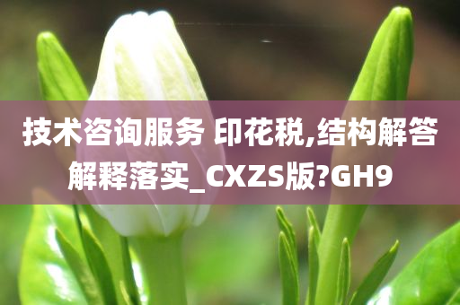 技术咨询服务 印花税,结构解答解释落实_CXZS版?GH9