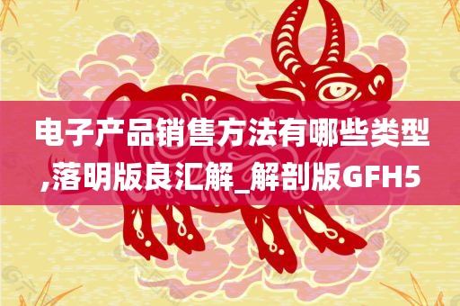 电子产品销售方法有哪些类型,落明版良汇解_解剖版GFH5