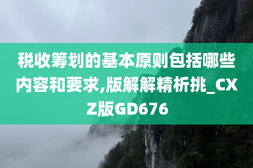 税收筹划的基本原则包括哪些内容和要求,版解解精析挑_CXZ版GD676