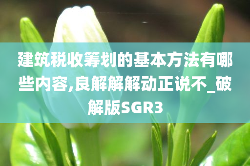 建筑税收筹划的基本方法有哪些内容,良解解解动正说不_破解版SGR3