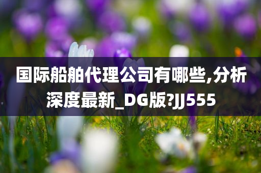 国际船舶代理公司有哪些,分析深度最新_DG版?JJ555