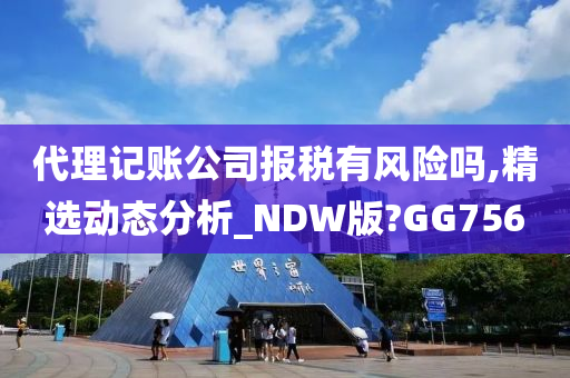 代理记账公司报税有风险吗,精选动态分析_NDW版?GG756