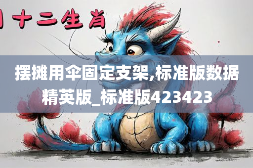 摆摊用伞固定支架,标准版数据精英版_标准版423423