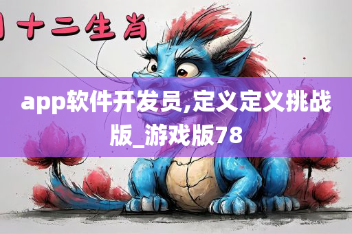 app软件开发员,定义定义挑战版_游戏版78