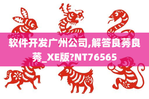 软件开发广州公司,解答良莠良莠_XE版?NT76565